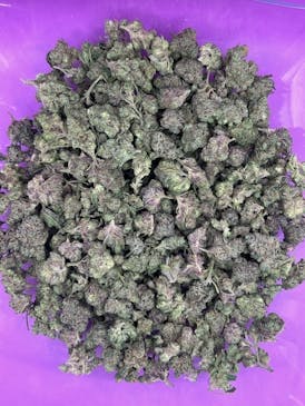 VALUE SHELF - Sueno Smalls