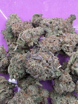 EXOTIC SHELF-GELATO OREO- HYBRID