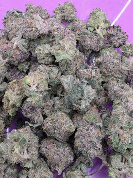 VALUE SHELF- OMFG SMALLS- INDICA