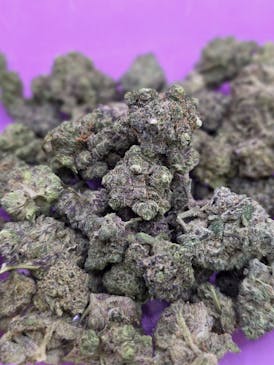 EXOTIC SHELF- SUENO- INDICA