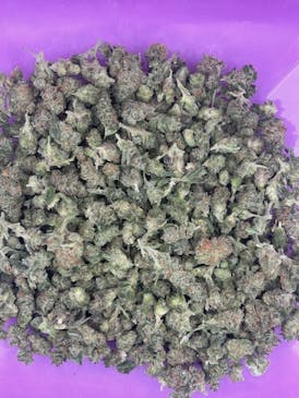 VALUE SHELF - Zittles Smalls