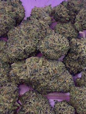 EXOTIC SHELF - BLUE COOKIES - INDICA