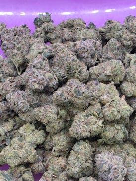 Exotic Shelf-Permanate Marker-INDICA