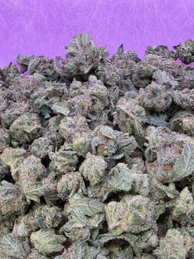 Value Shelf- Jealousy-INDICA-SMALLS