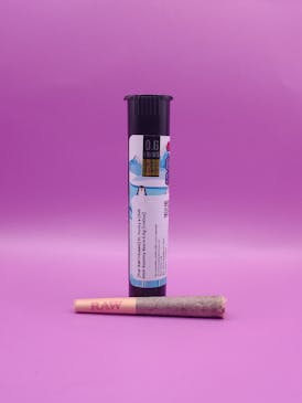 CHILL STICK- Gummy Bears- 0.6g Infused Pre-Roll- INDICA