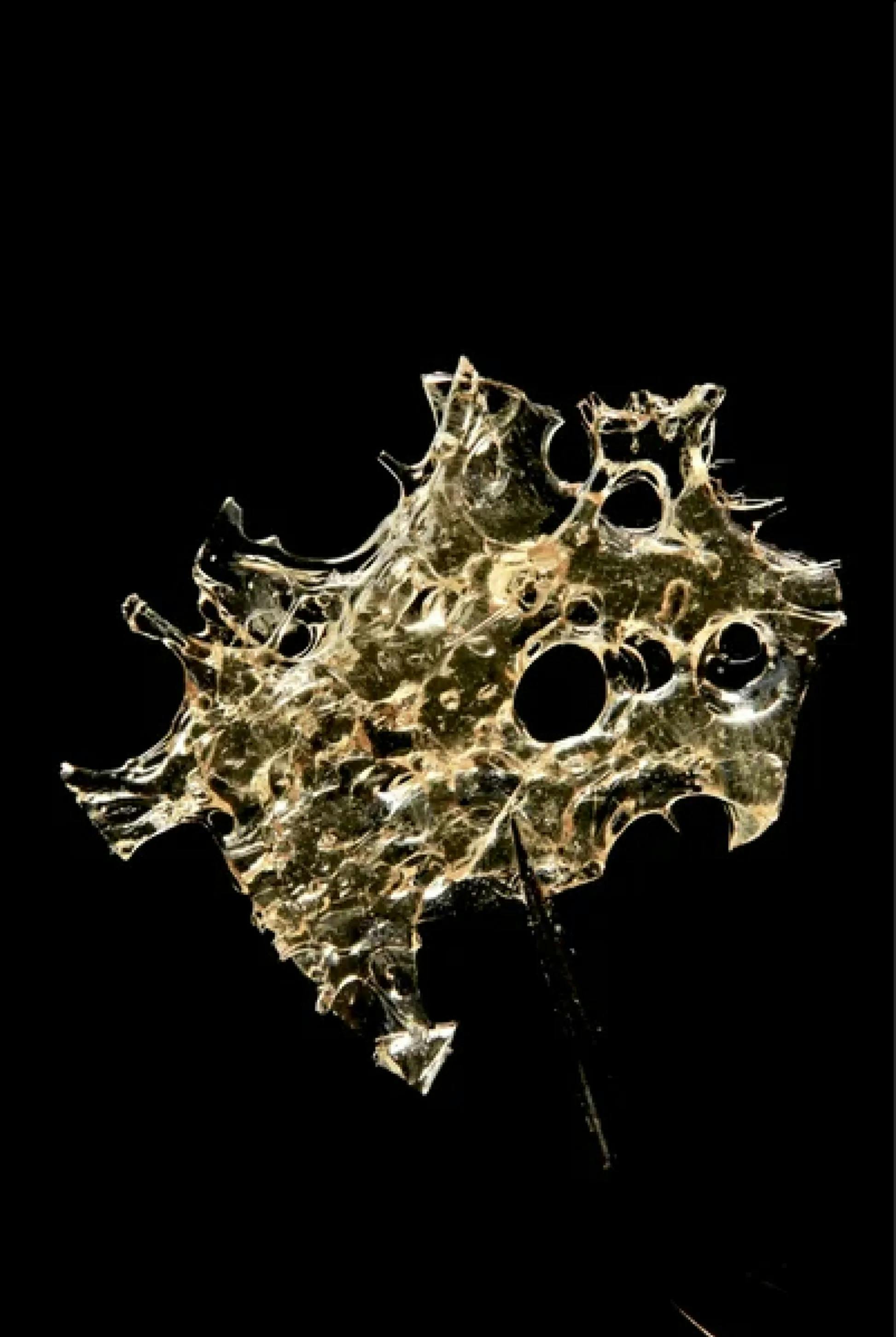 Ninja Fruit Shatter