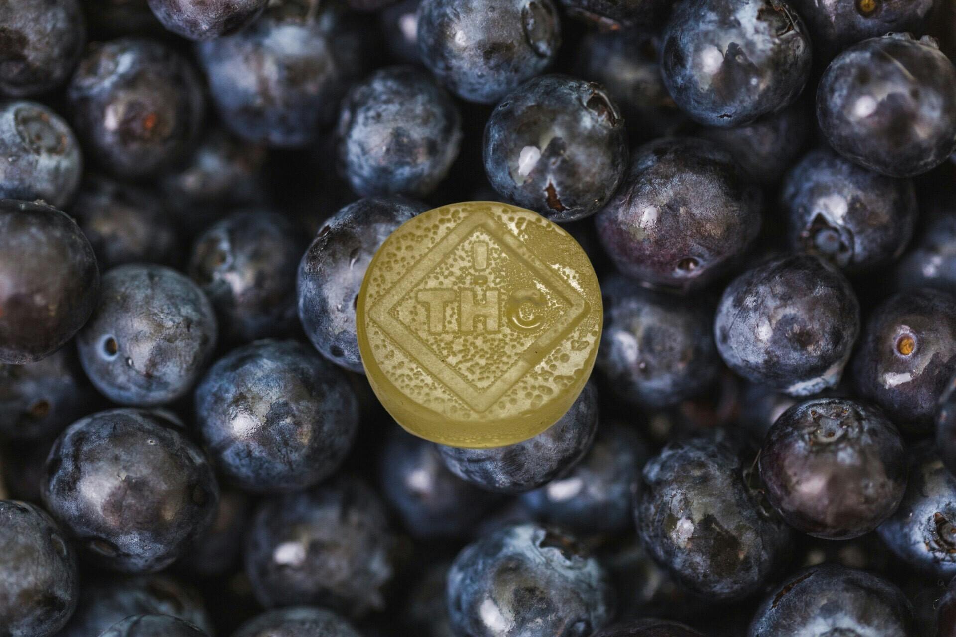 Soft Chew Blueberry 100mg 10 pk
