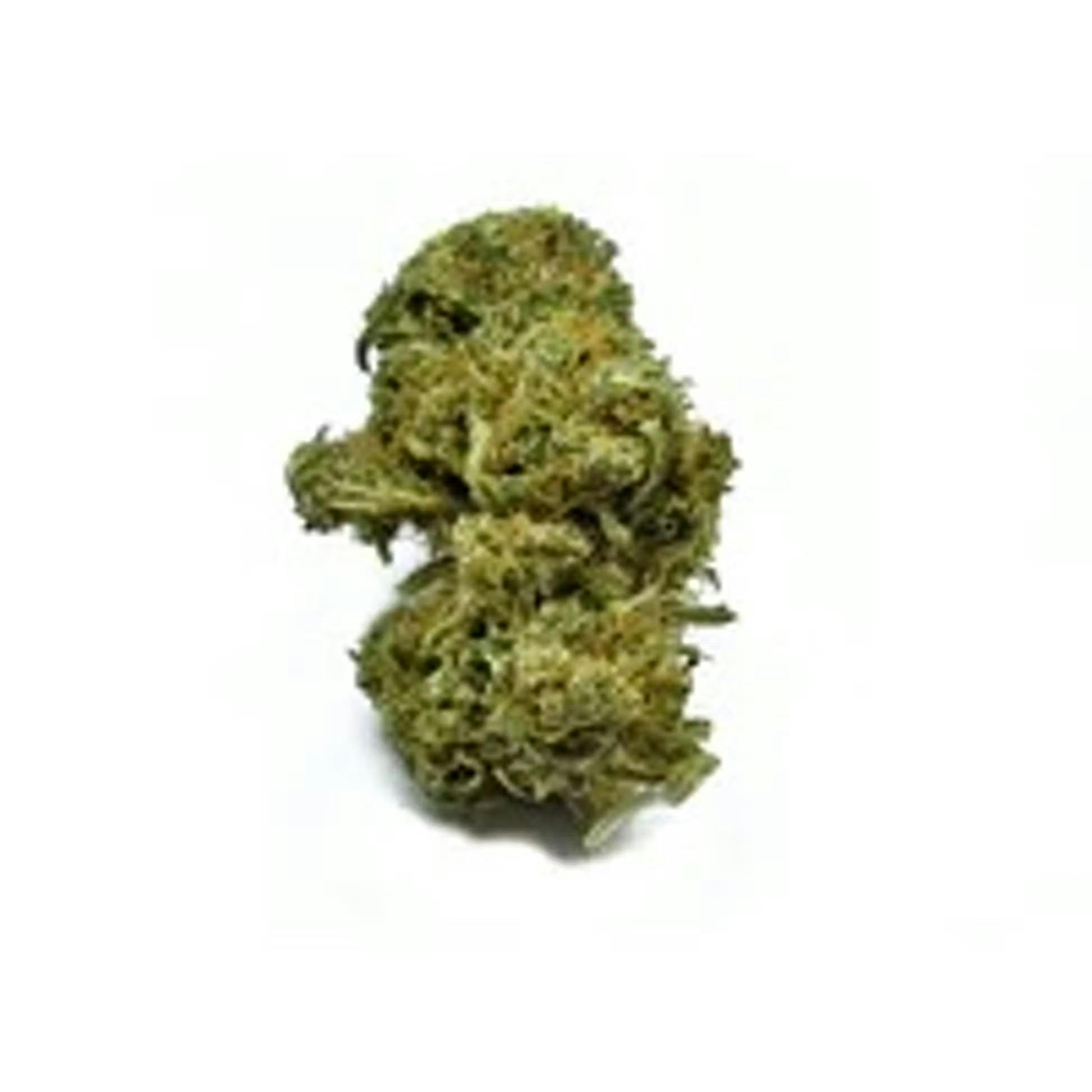 Yummy 3.5g Small Bud