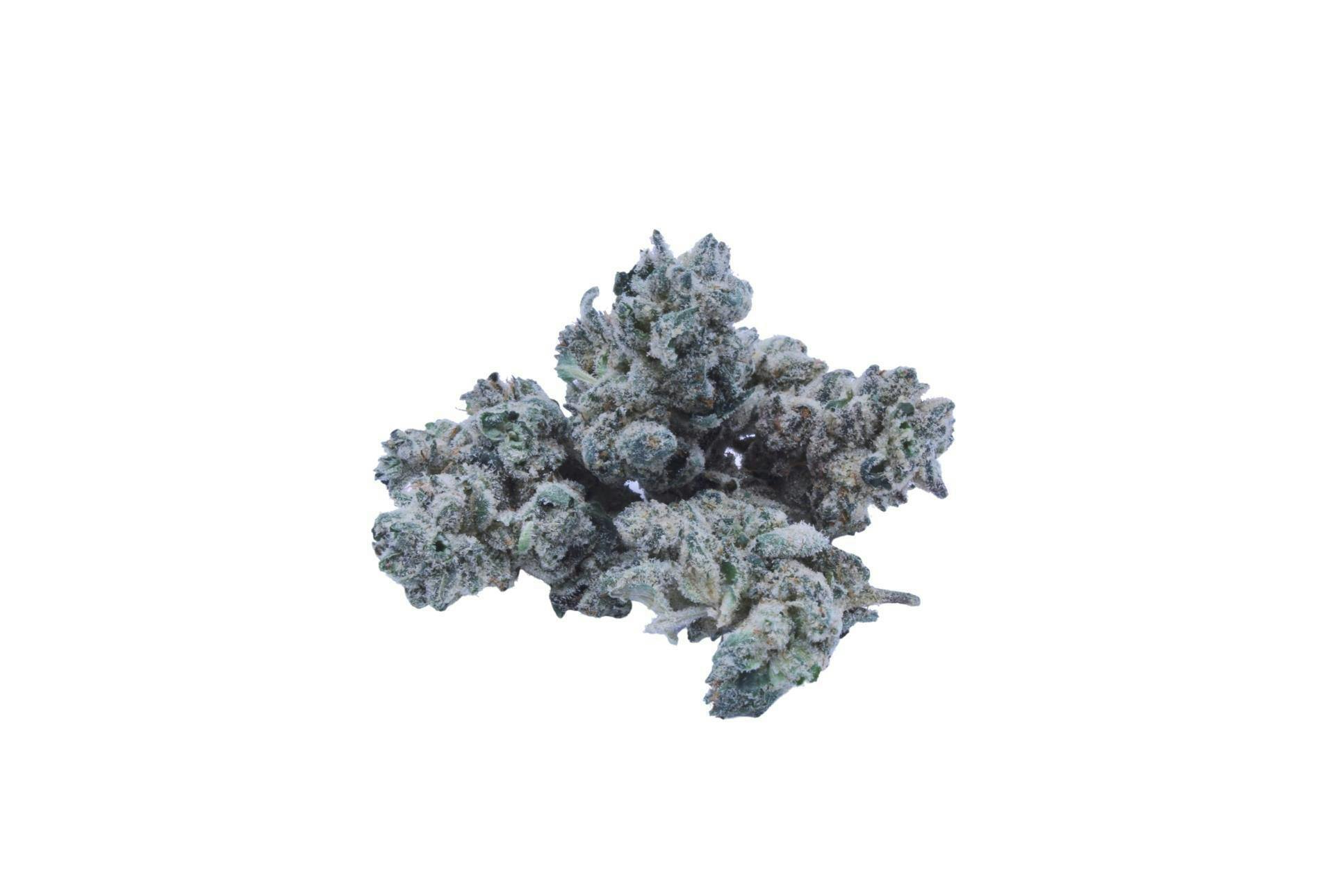 Gorilla Glue 3.5g Small Bud