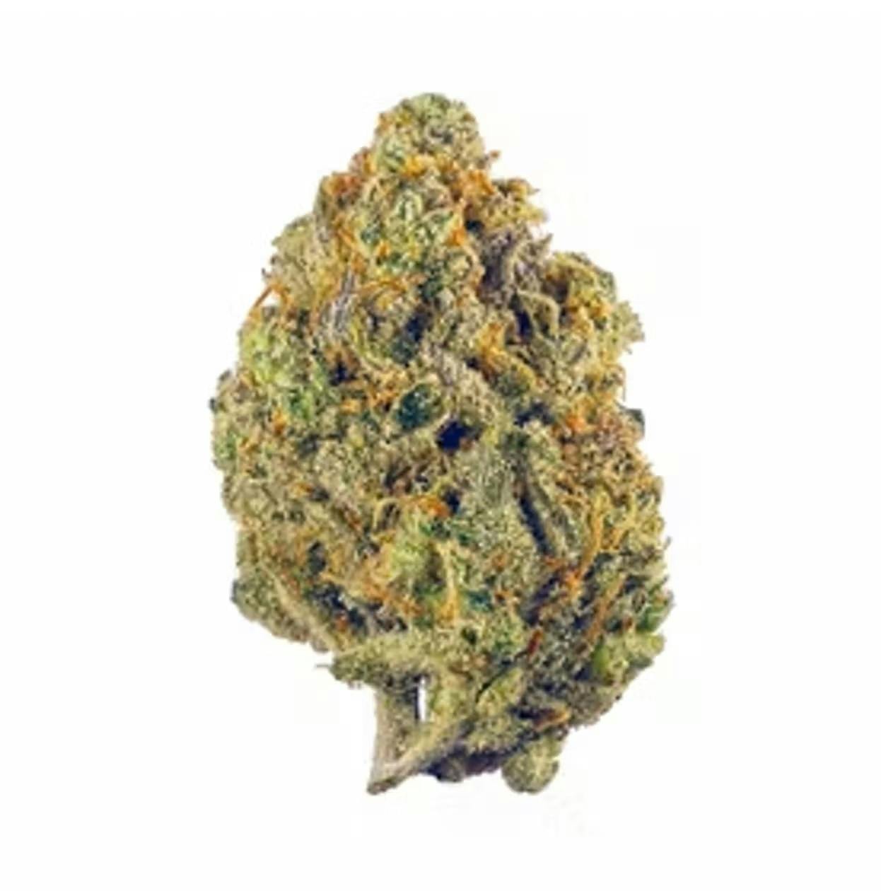 Gelato Mint Small Bud 3.5