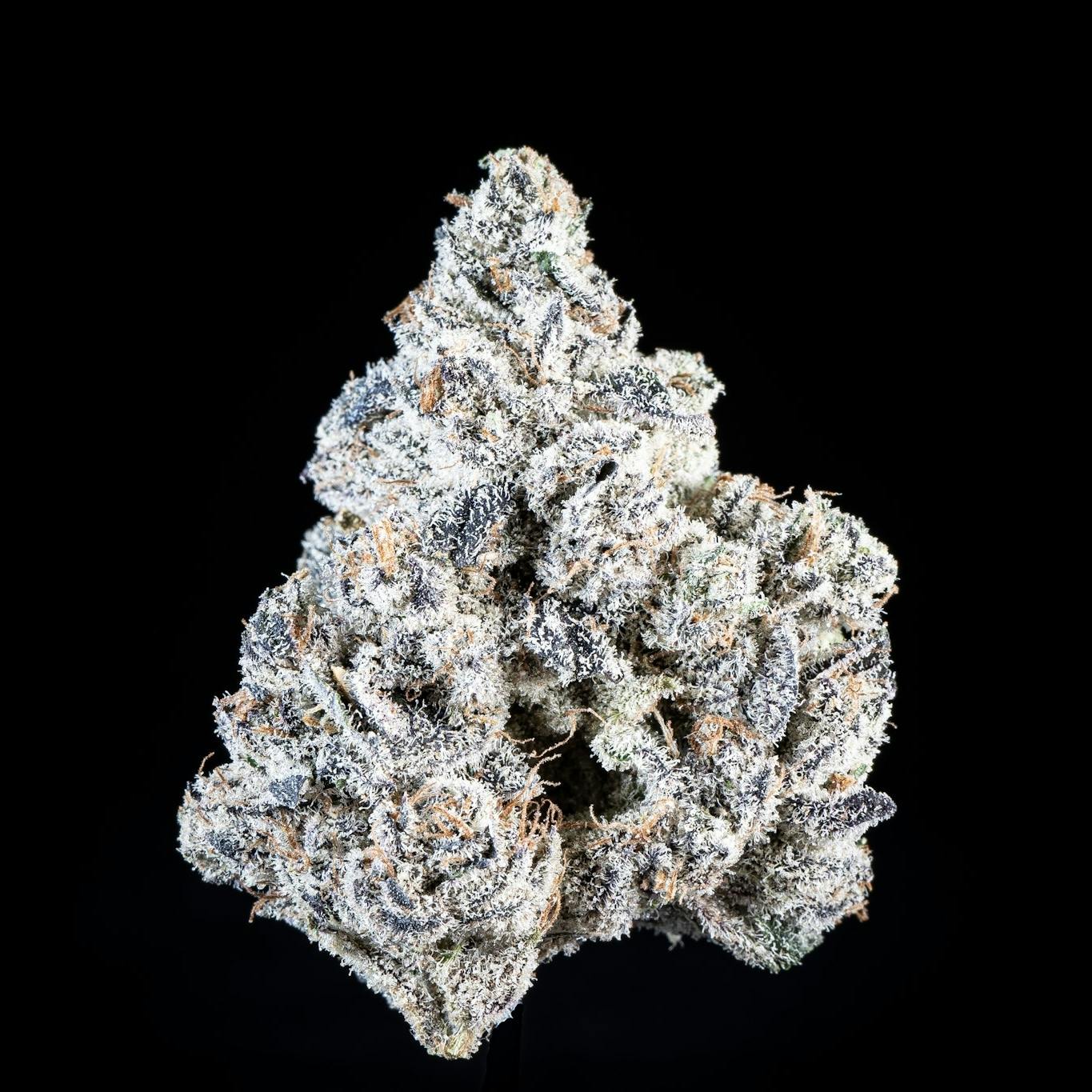Stay Puft - Indoor Flower - Hashworks