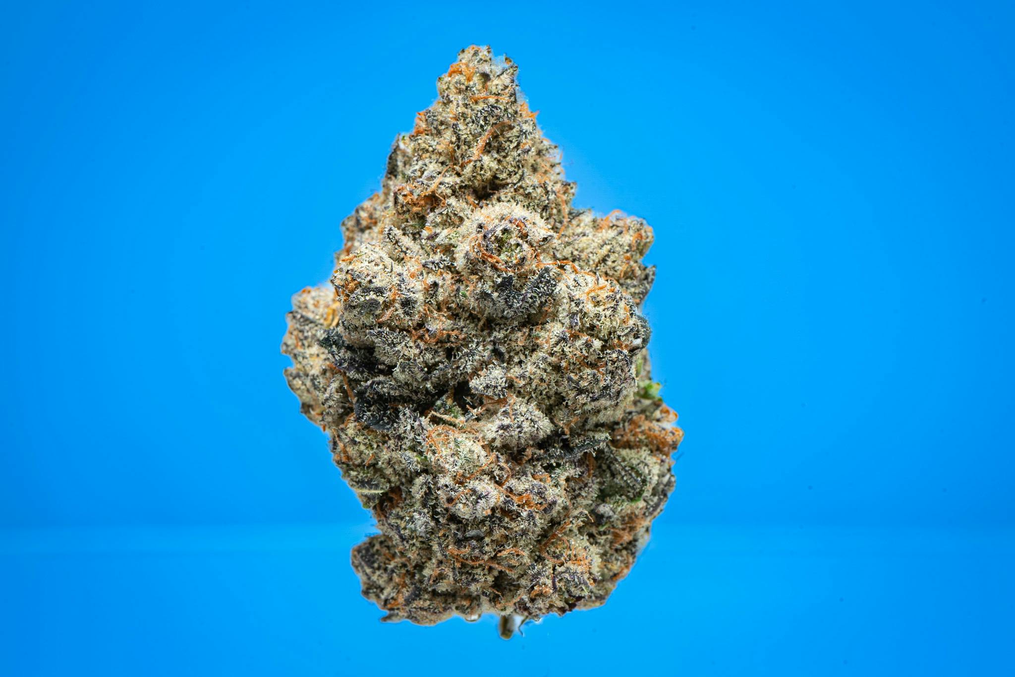 Stay Puft - Indoor Flower - Hash Works