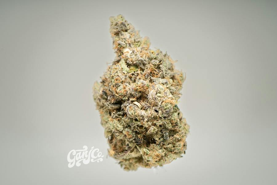 Dat Big Nasty - indoor flower - RG