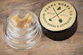 Forbidden Fruit - Hash Rosin - Terra Horta co