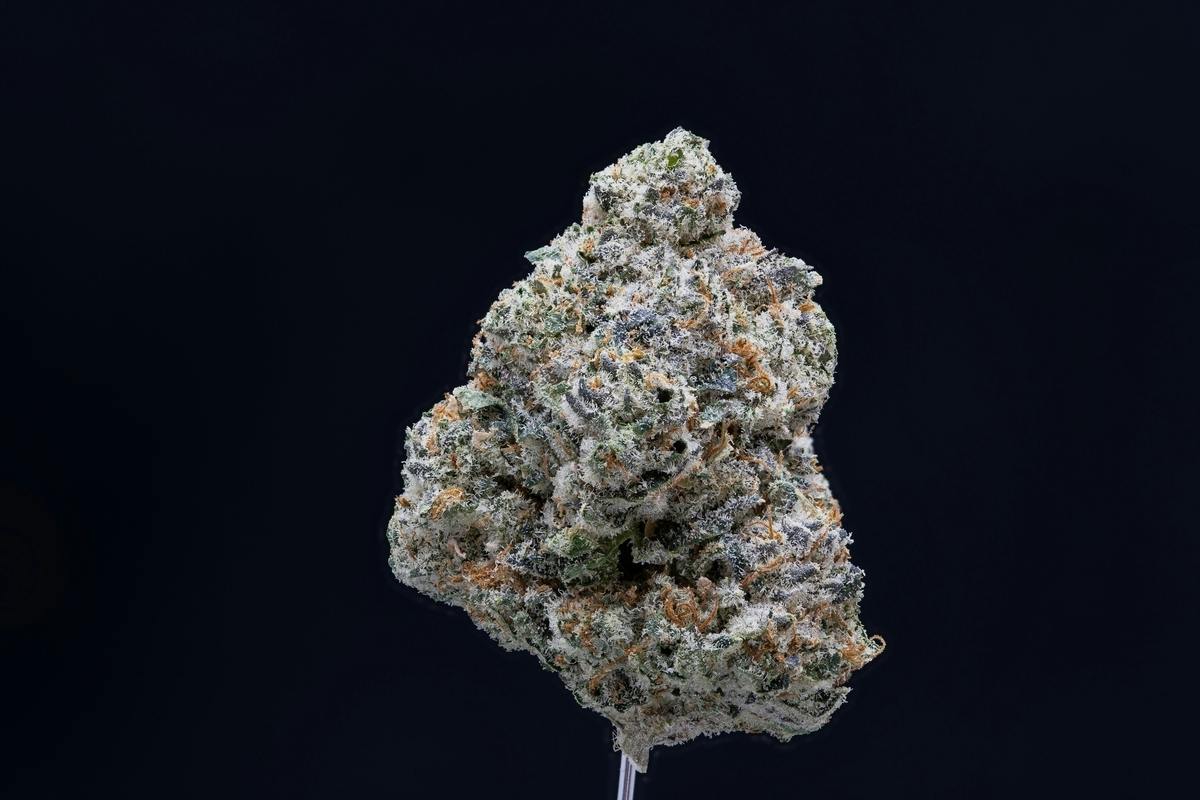 OGKB 2.1 Indoor flower
