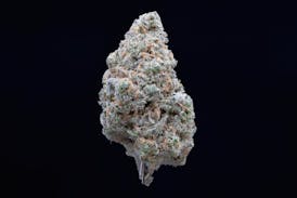 Lilac Diesel - Indoor Flower SATIVA