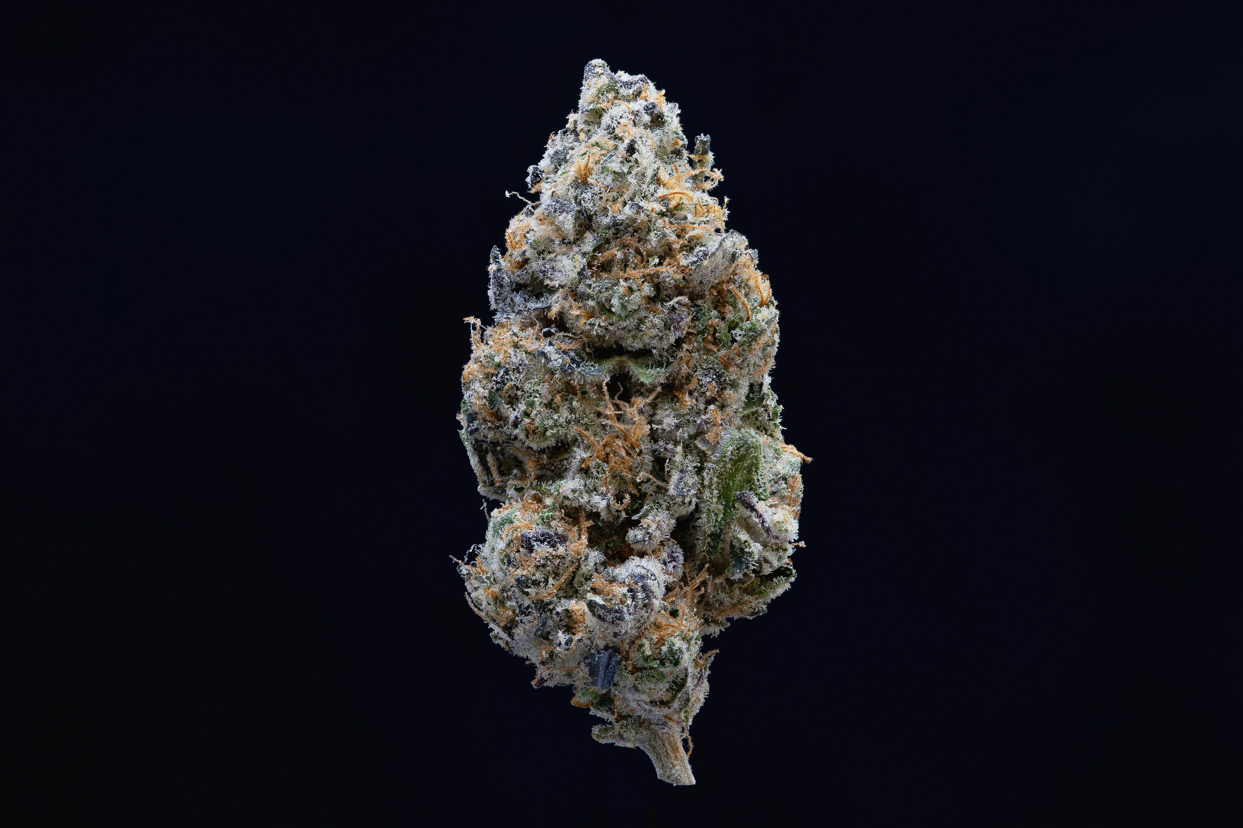 Fried Applez - Indoor Flower