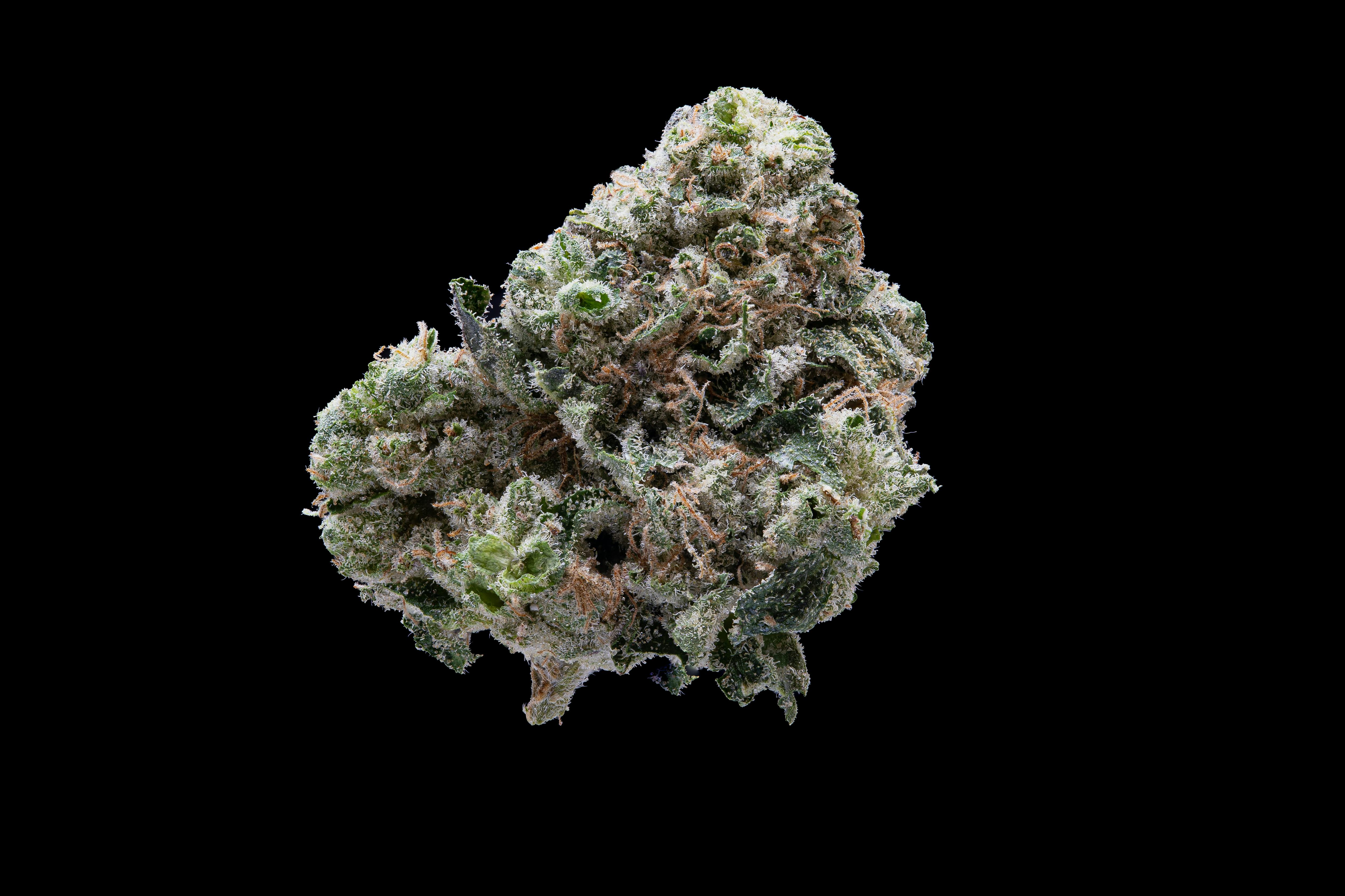 Ass Candy - Indoor Flower