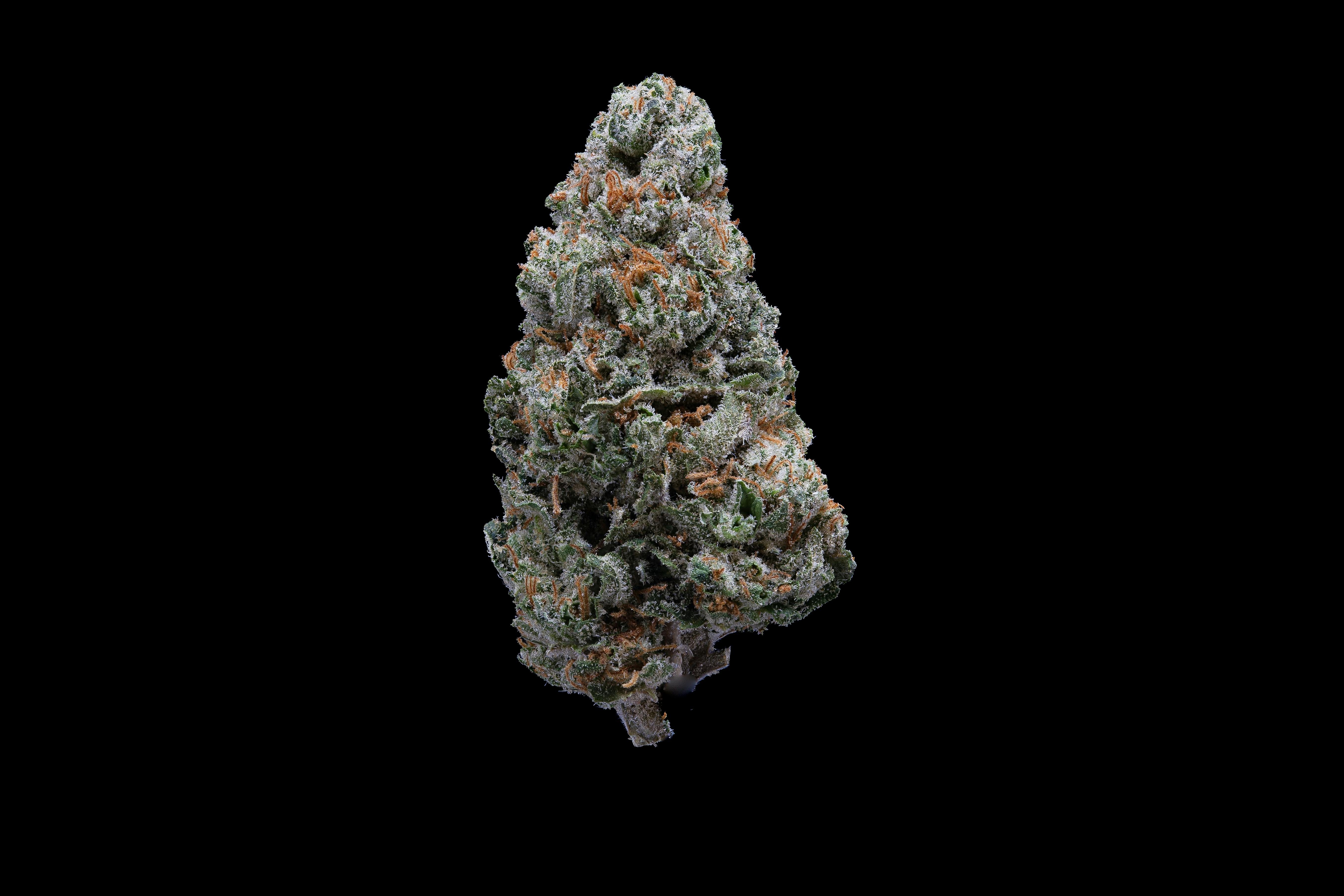 Forbidden Fruitcake - Indica Indoor Flower