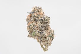 Grape Gasoline - Indoor Flower