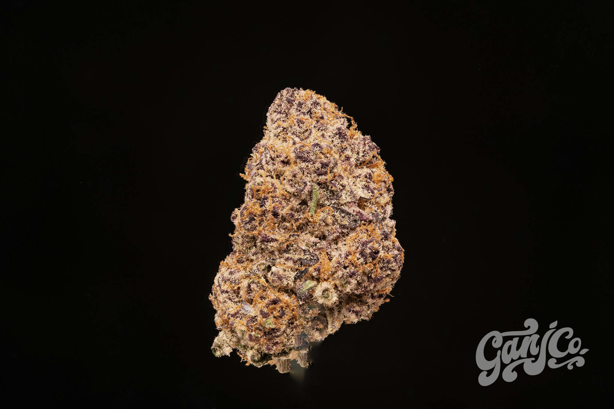 Indoor Living Soil Flower - Indica