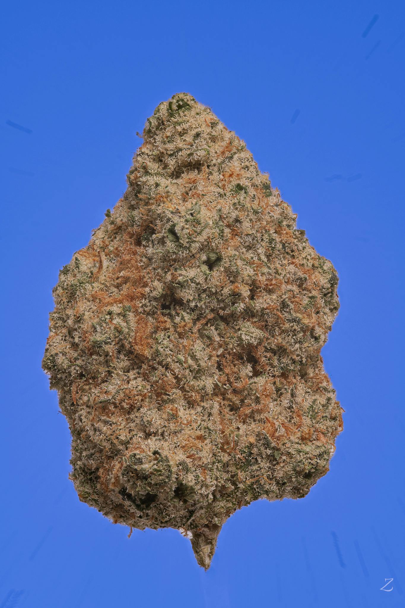 Race Fumes | Big Buds | 0.125oz