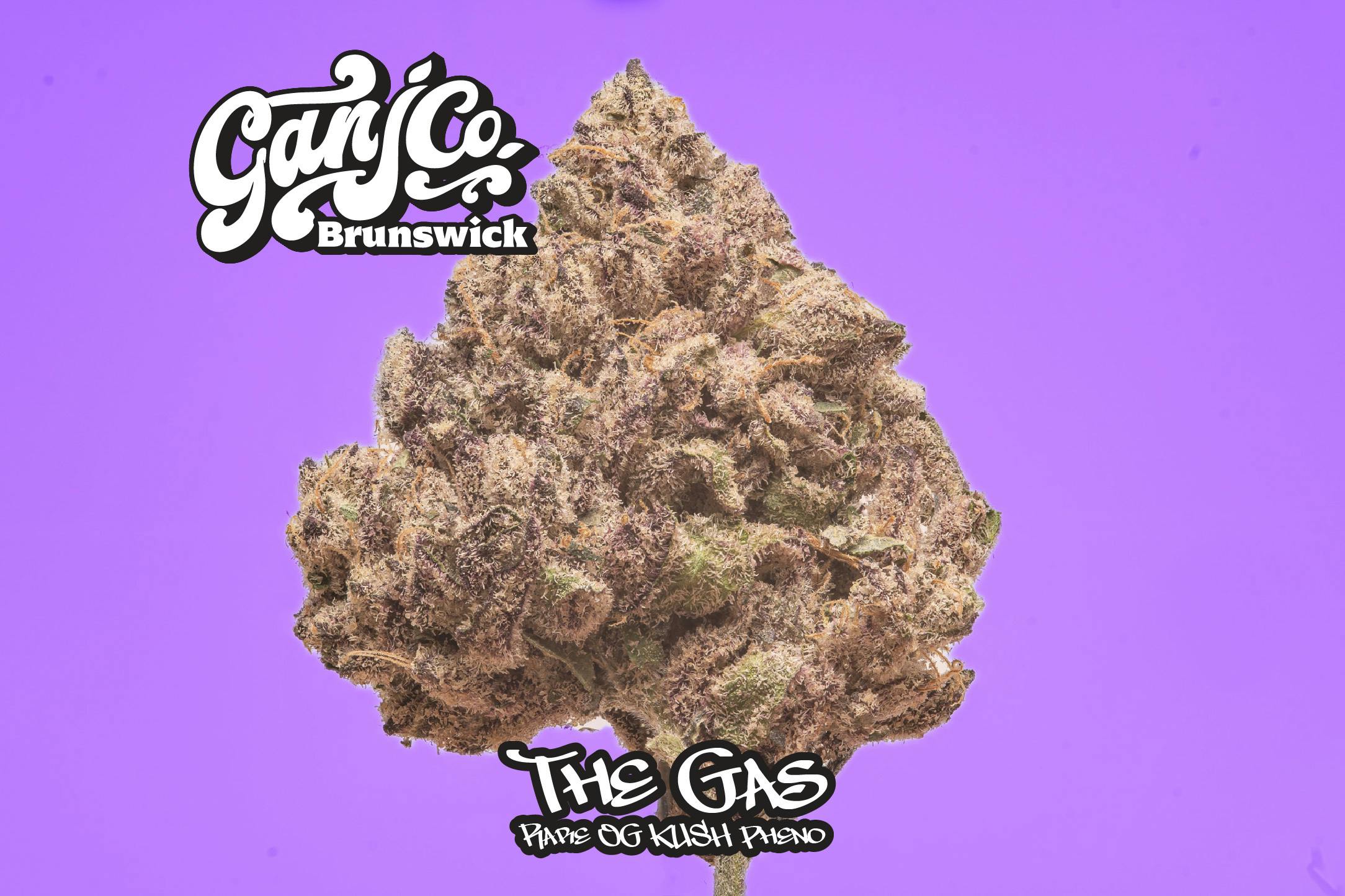 The Gas | Big Buds | 3.5g