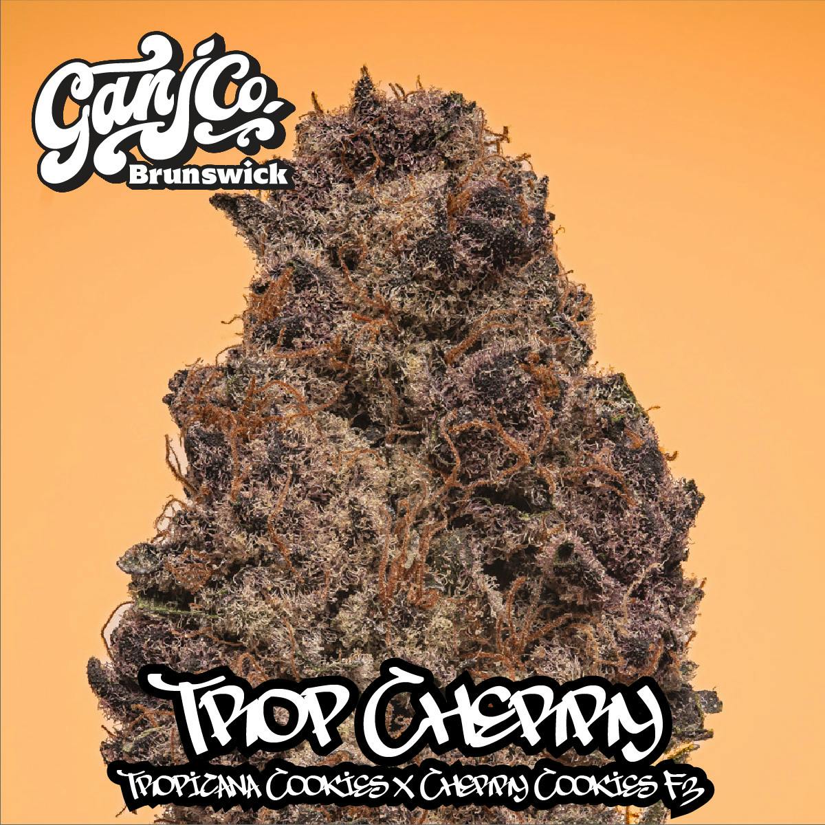 Trop Cherry Indoor Flower