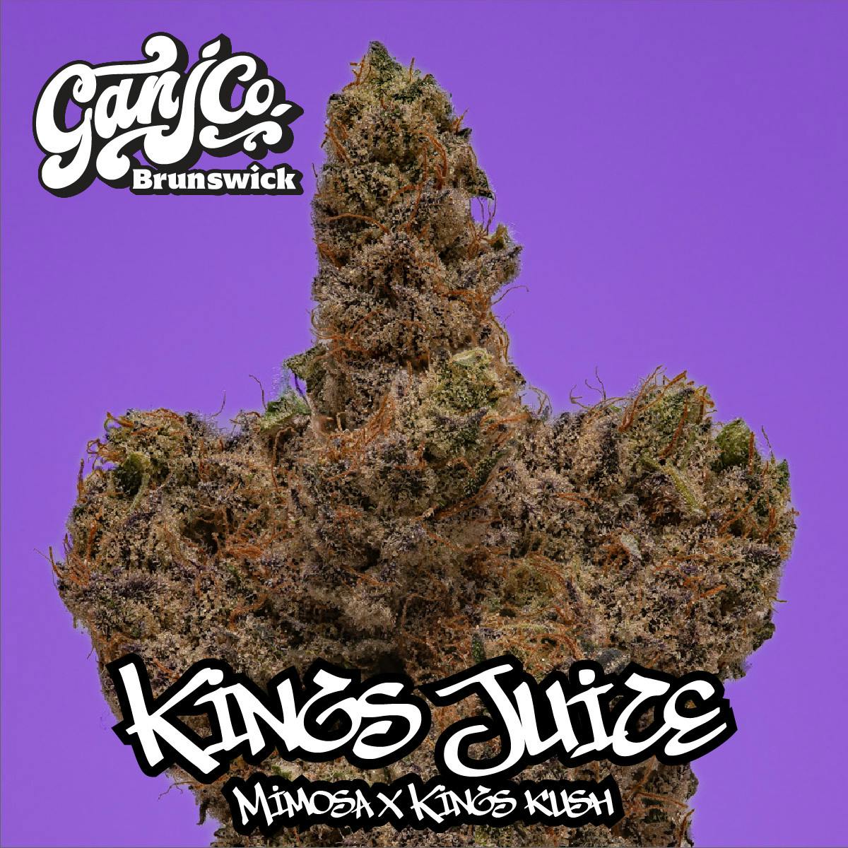 Kings Juice - Indoor flower - Living soil Sativa
