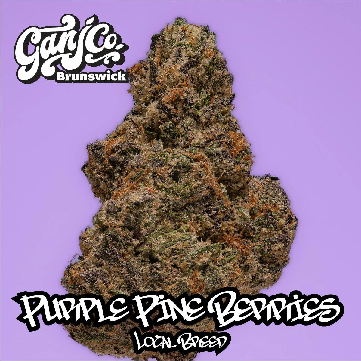 Purple Pine Berries - Indoor flower - Indica