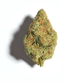 Flower - Blue Guava Gelato