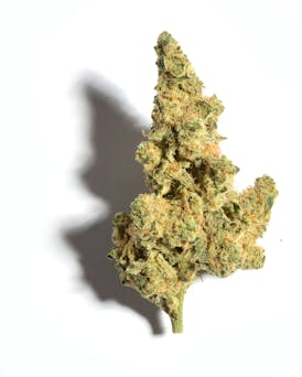 Flower - Cap Junky