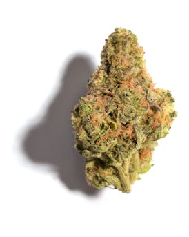 Flower - Kush Mints