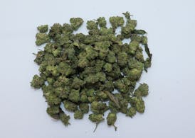 Small Buds - Horchata