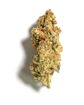 Flower - Pure Michigan