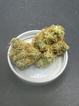 Lonely Bones: Poontang Pie (Discounted Seeded!!)