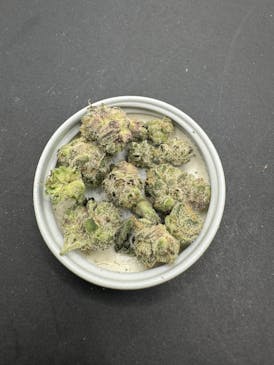 Banana Cooler Smalls