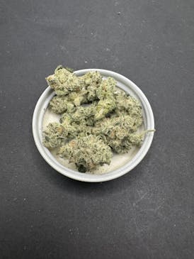 Living Matter: Cap Junky Smalls