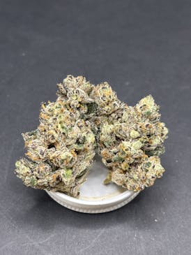 *Amazing!* Lonely Bones: Carbon Fiber