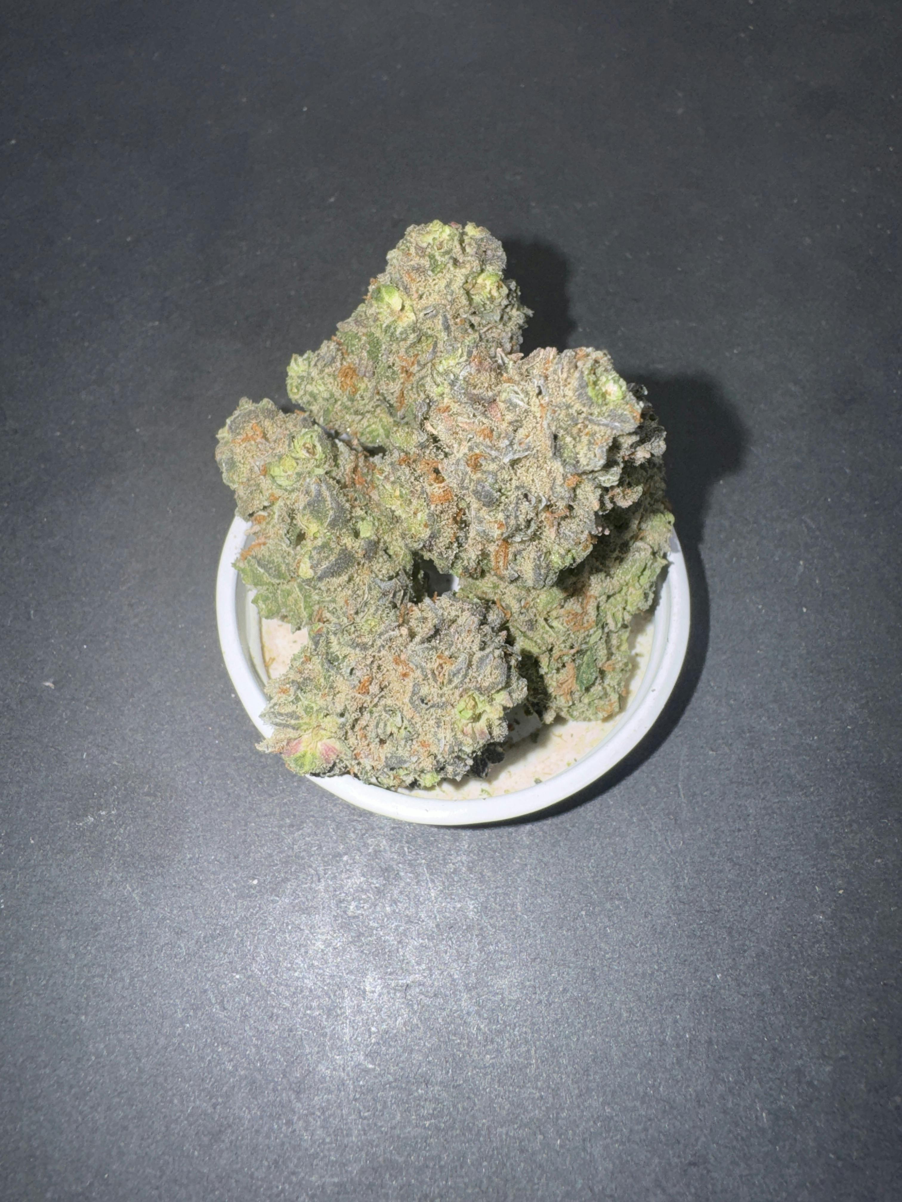 Left Dr Melos Tropsicle