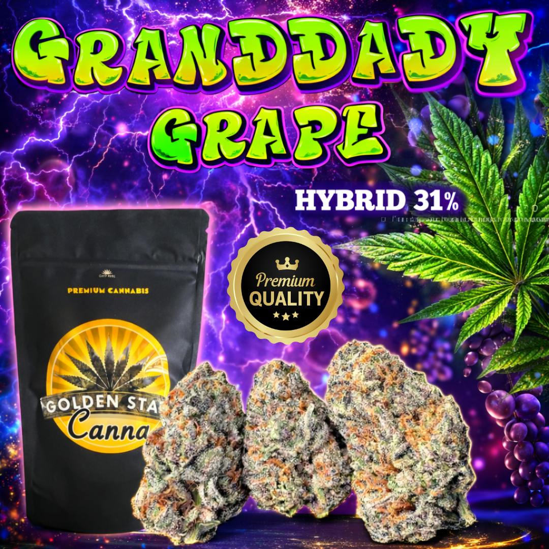 GRANDDADDY GRAPE 28G (HYBRID) 31%