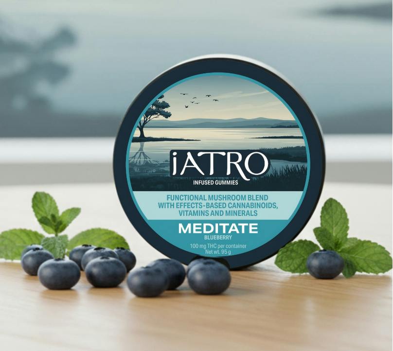 Blueberry Meditate Gummies | 100mg/ea
