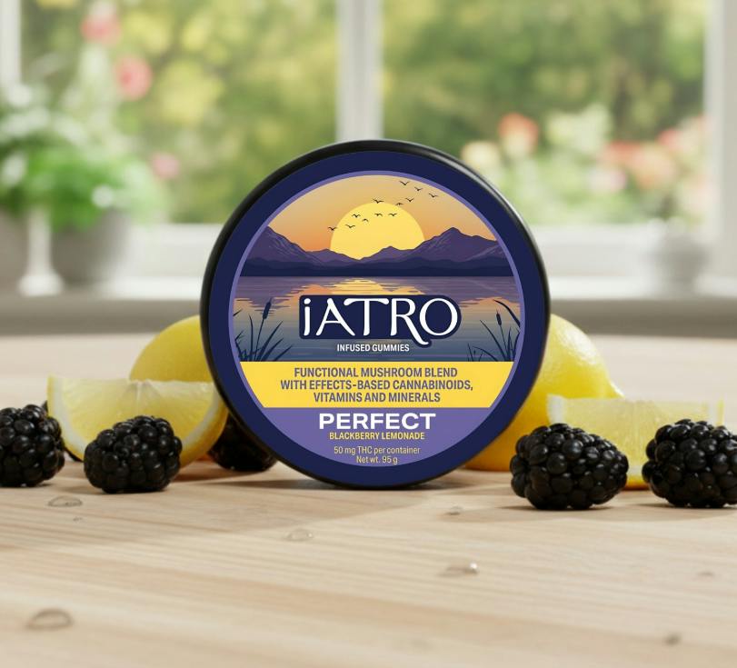 Blackberry Lemonade Functional Mushroom Gummies | Gummies | 0.05mg/ea
