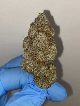 Pure Michigan | Premium Flower | 28g
