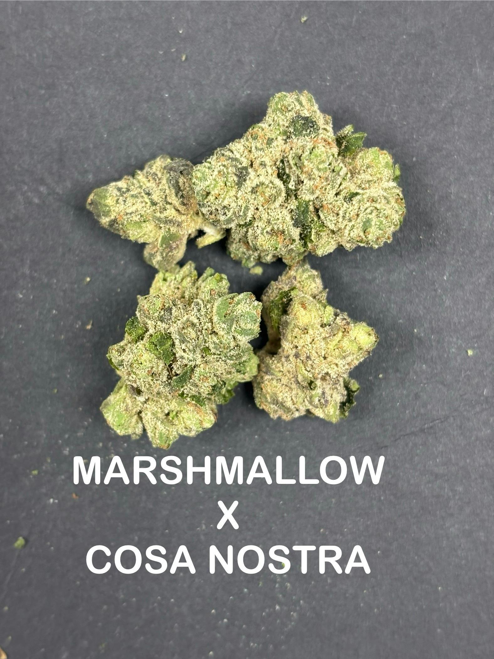 Marshmallow Og x Cosa Nostra