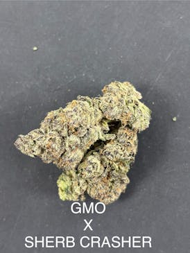 GMO x Sherb Crasher- WHITE MOOSE 3.5G