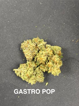 Gastro Pop Top Shelf Smalls