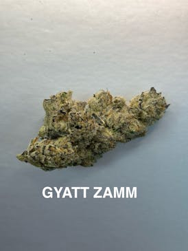 GYATT ZAMN - ALTVM - EXOTIC TIER 1
