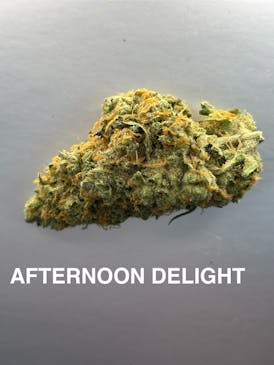 AFTERNOON DELIGHT - EXOTIC TIER 1