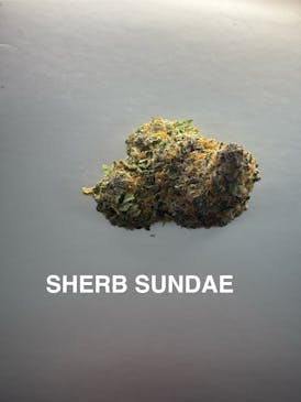 SHERBERT SUNDAE - EXOTIC TIER 2